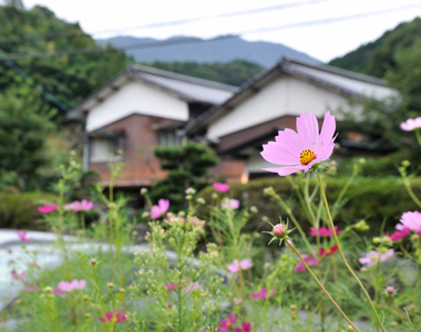 あかね荘お店案内2